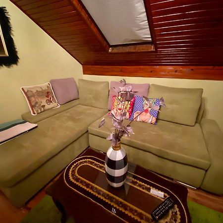 Villa Miris Dunja Zlatibor Bagian luar foto