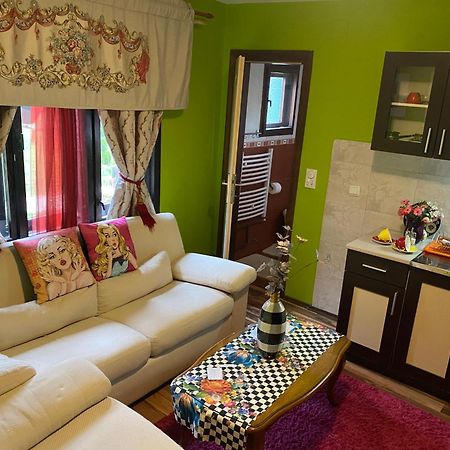 Villa Miris Dunja Zlatibor Bagian luar foto