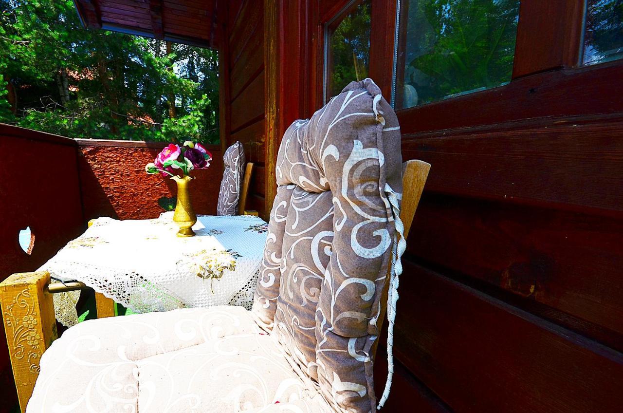 Villa Miris Dunja Zlatibor Bagian luar foto