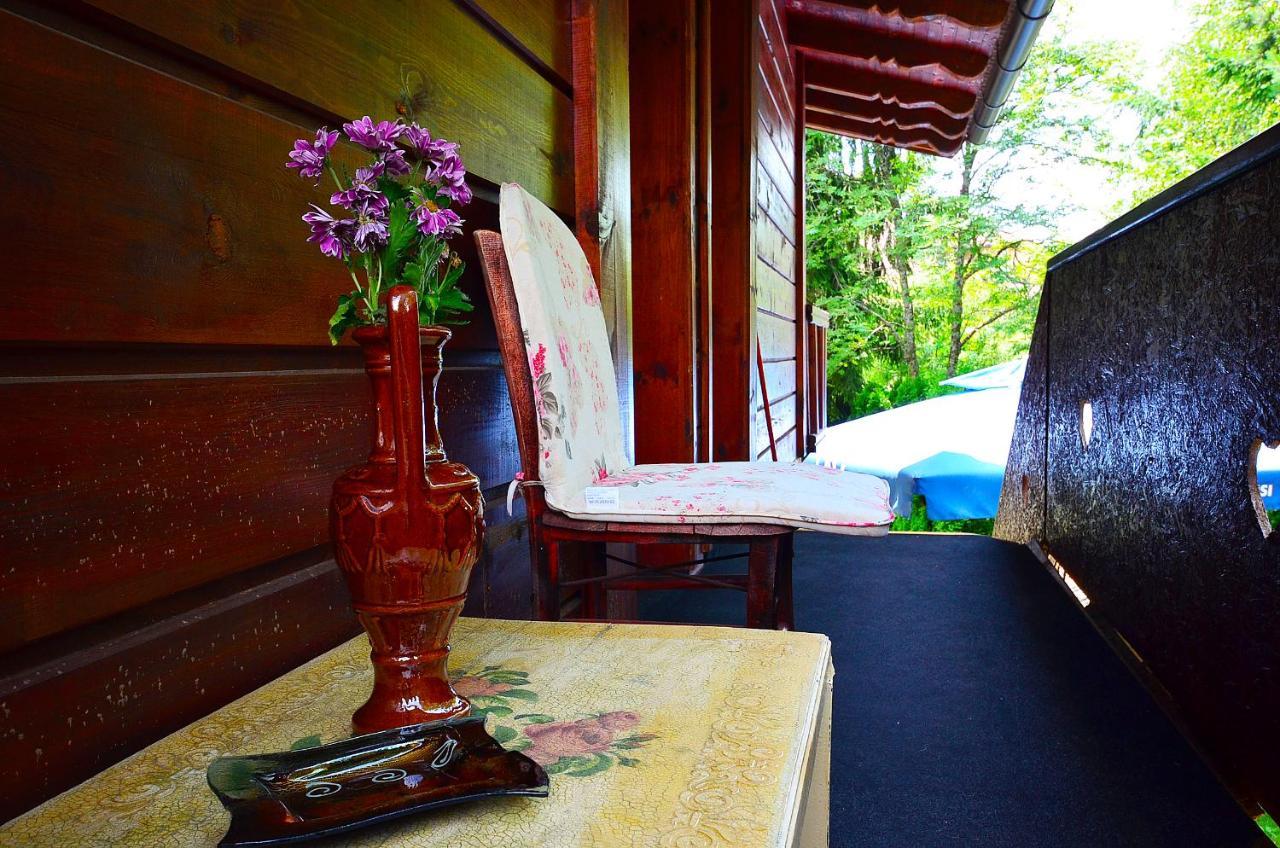 Villa Miris Dunja Zlatibor Bagian luar foto
